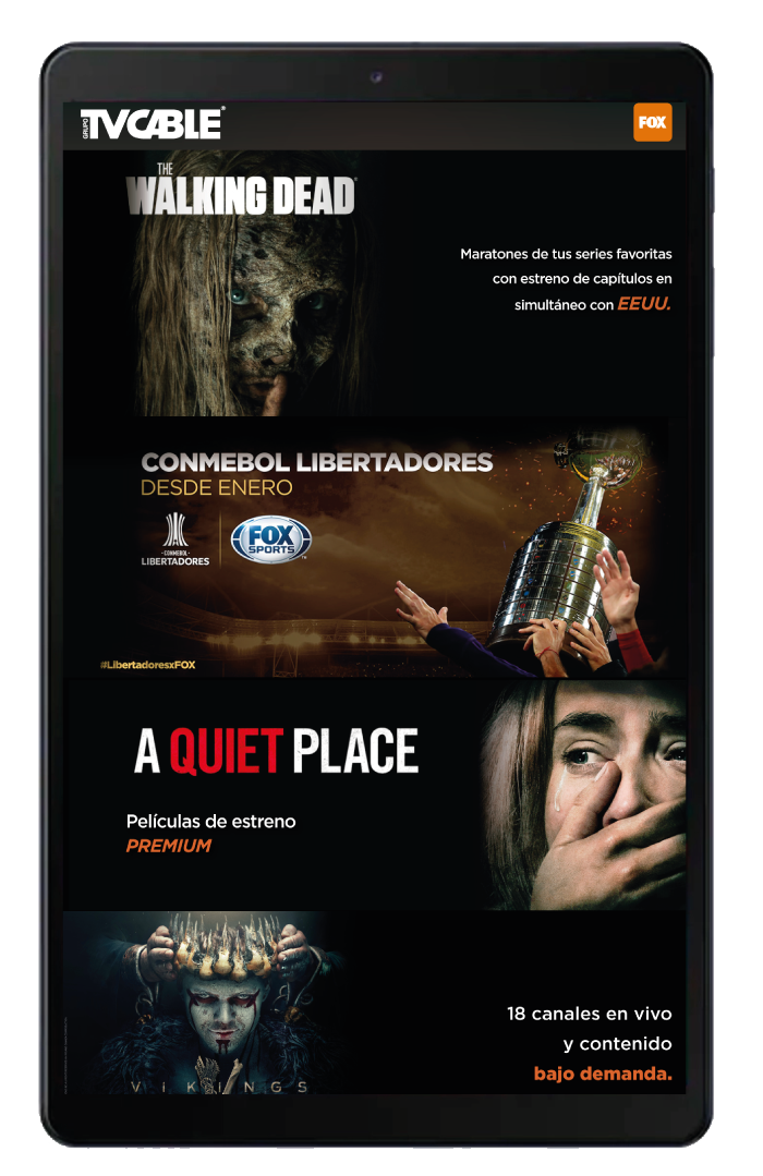 Landing Page for FOX Digital Platform